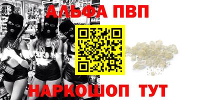 спайс Берёзовский