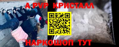 спайс Берёзовский