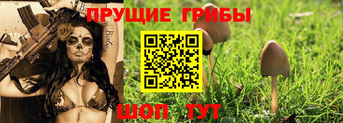 Галлюциногенные грибы Cubensis  Галлюциногенные грибы Psilocybine cubensis  Вход с VPN  Заволжье 